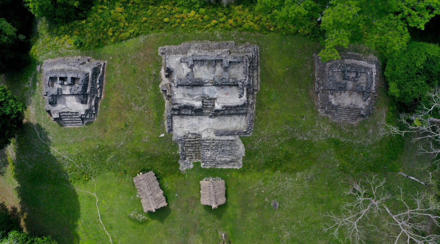 Organización Manejo y Conservación
